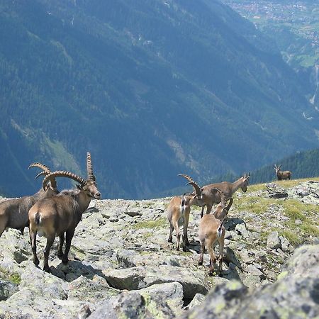 Apart Gletscherblick Kaunertal Exterior photo