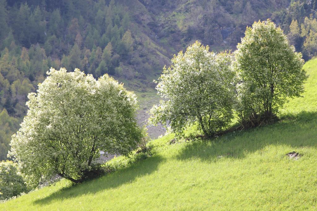 Apart Gletscherblick Kaunertal Exterior photo