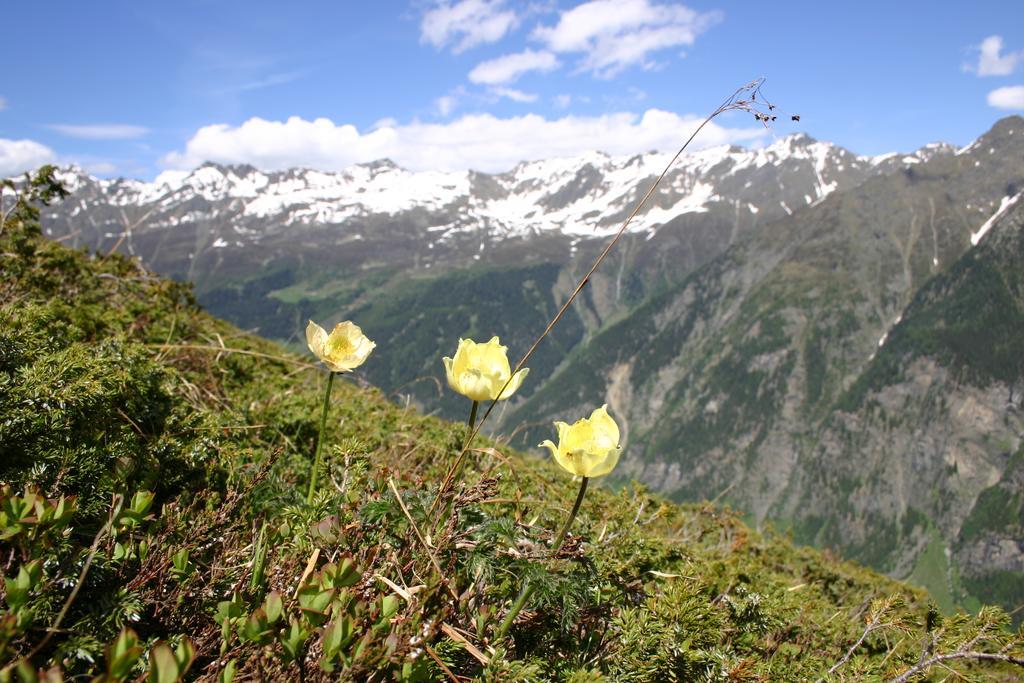 Apart Gletscherblick Kaunertal Exterior photo