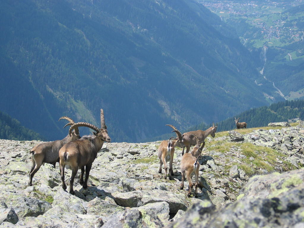Apart Gletscherblick Kaunertal Exterior photo